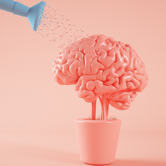 El Colágeno en el Cerebro: Un Componente Esencial para la Salud Cerebral